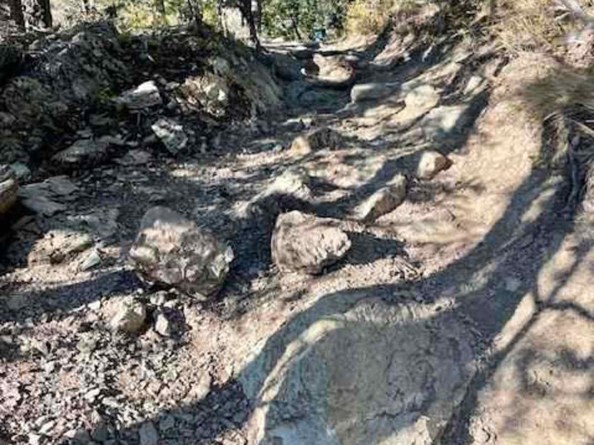 Columbia Mountain Loop trail photo