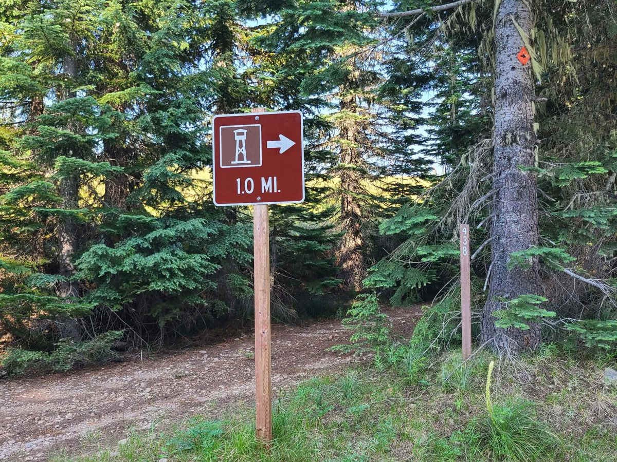 Warner Lookout and Logger Butte photo 5