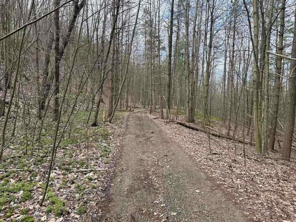 Ashland 116 photo 3