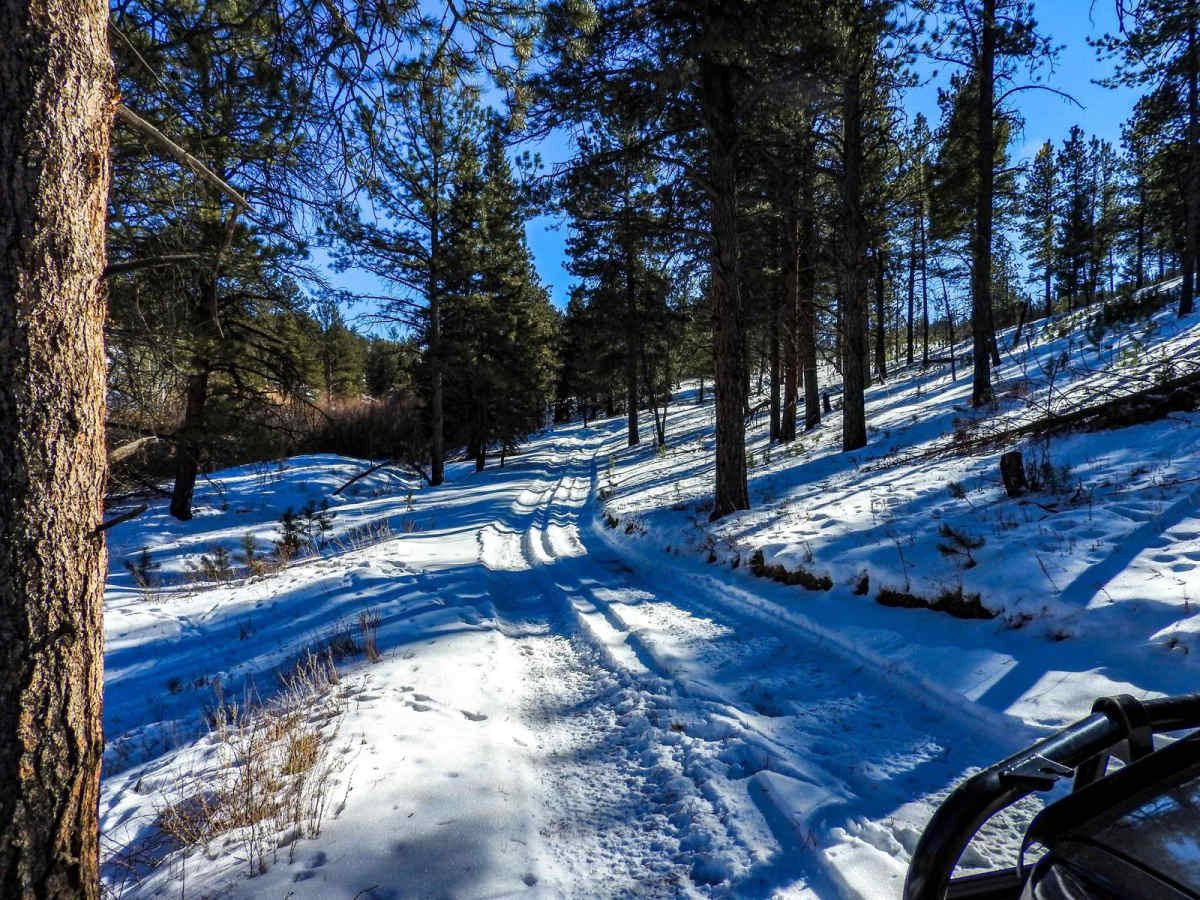 Forest Road 201 photo 3