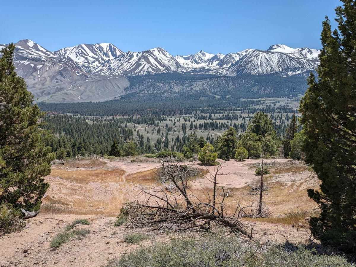 Shady Rest Park Overlook trail photo