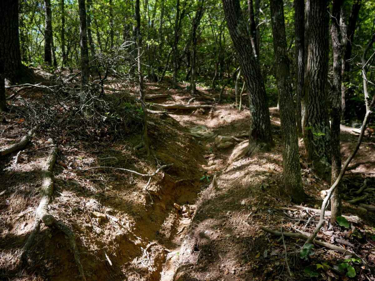 Enduro Trail photo 3