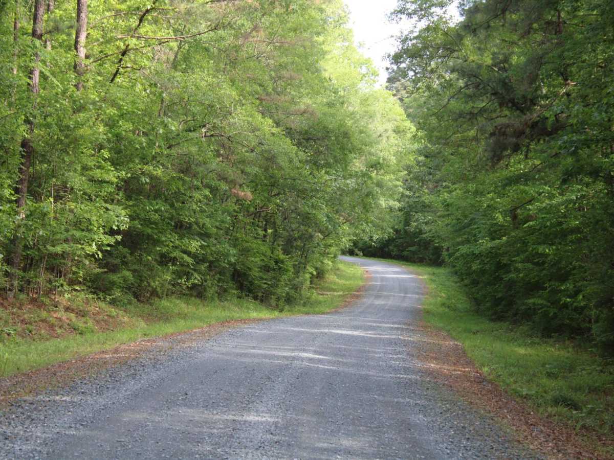 North Shore Drive on Corney Lake photo 5