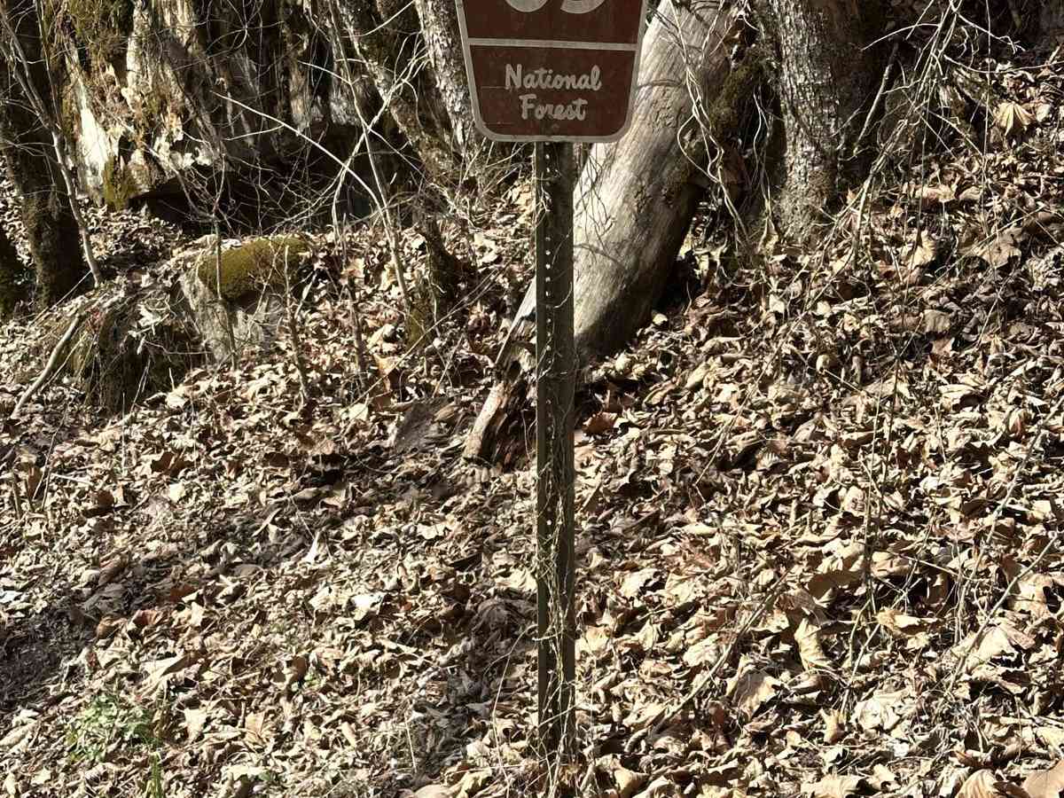 Citico Creek North photo 4