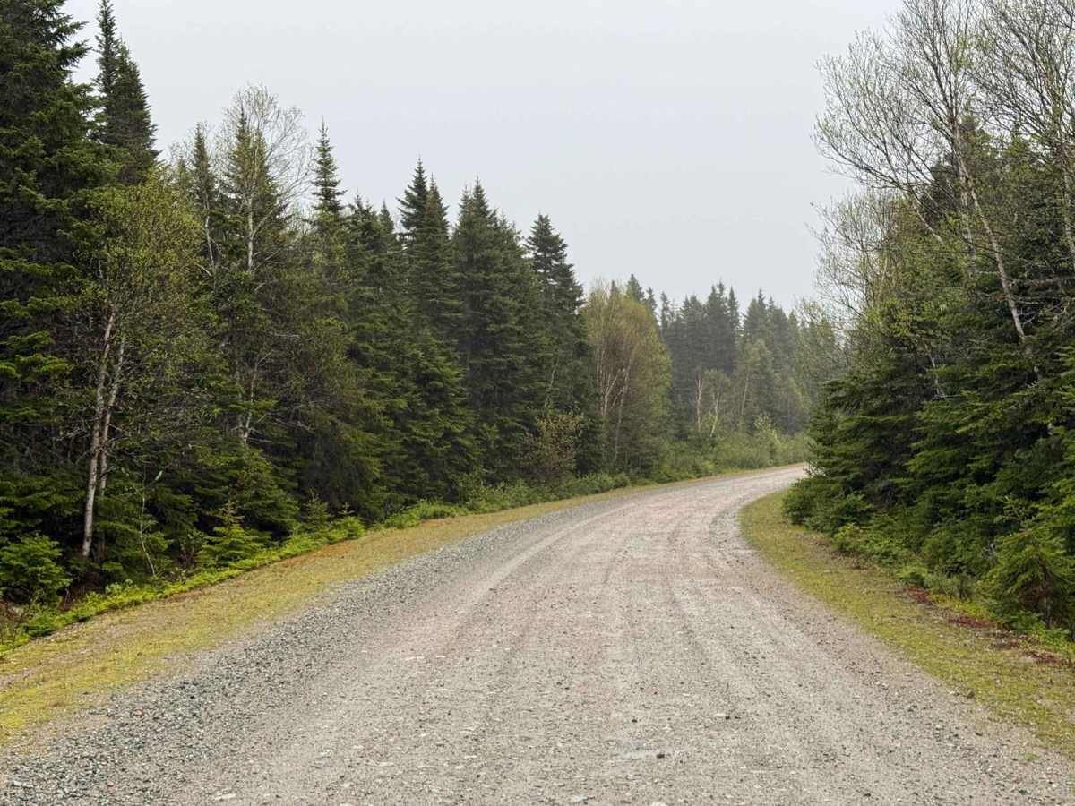 Kelly Road photo 4