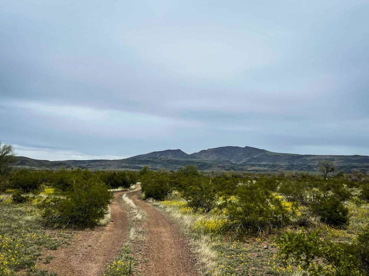 8106 Trail photo 6