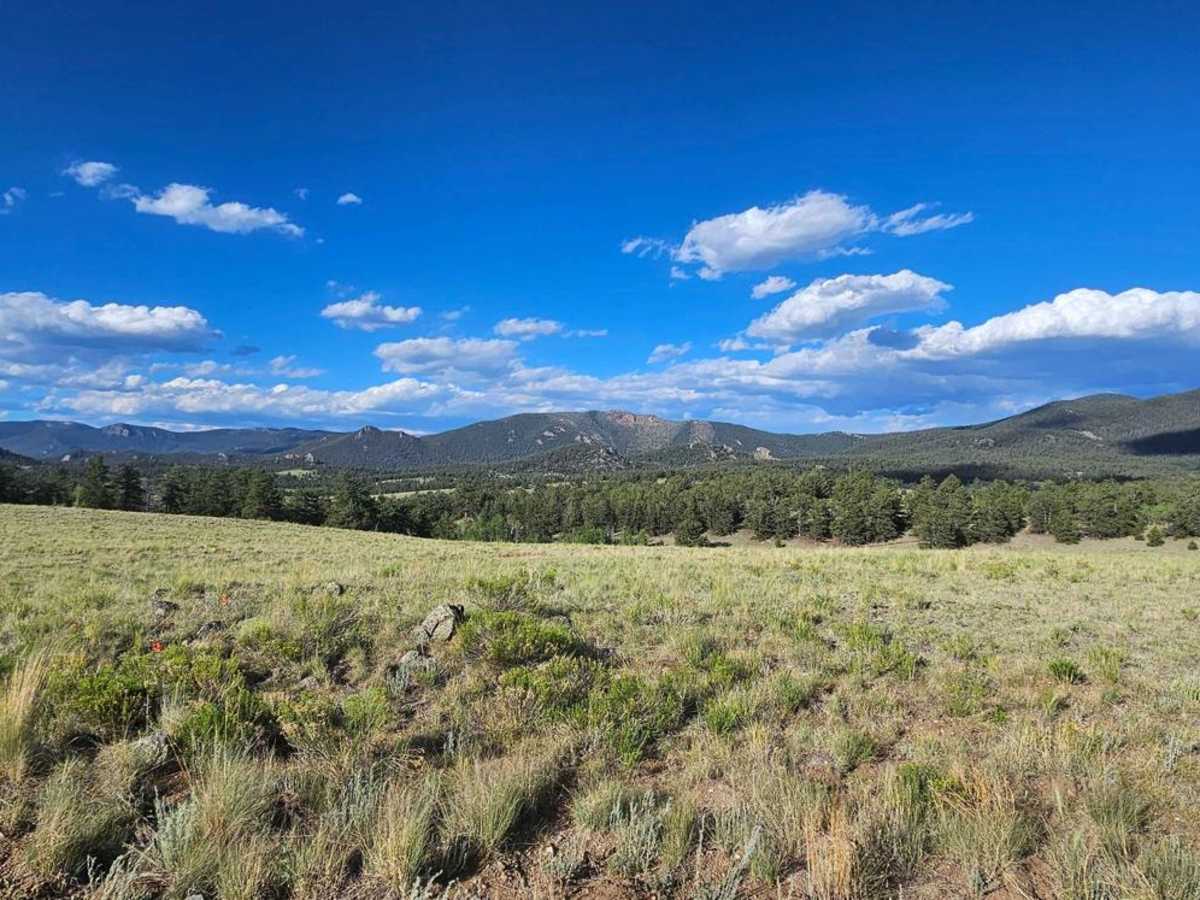 Turner Gulch Road photo 4