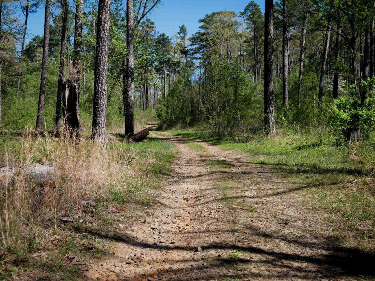 Brock 52 trail photo