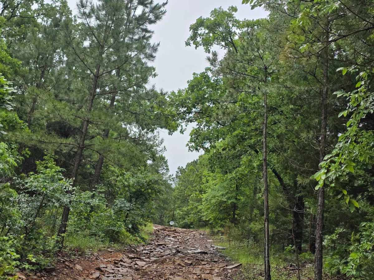West Boundry Trail photo 6