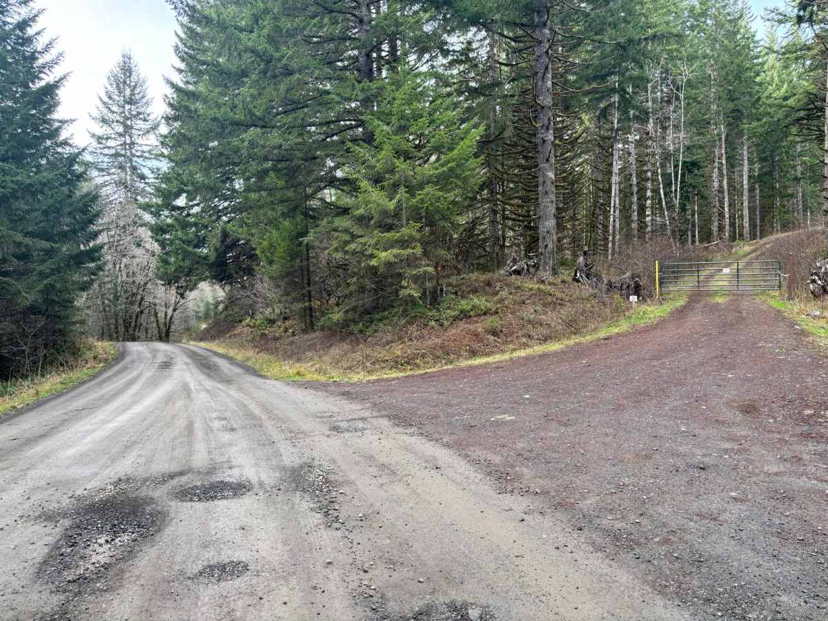 North Fork Wolf Creek Road photo 5