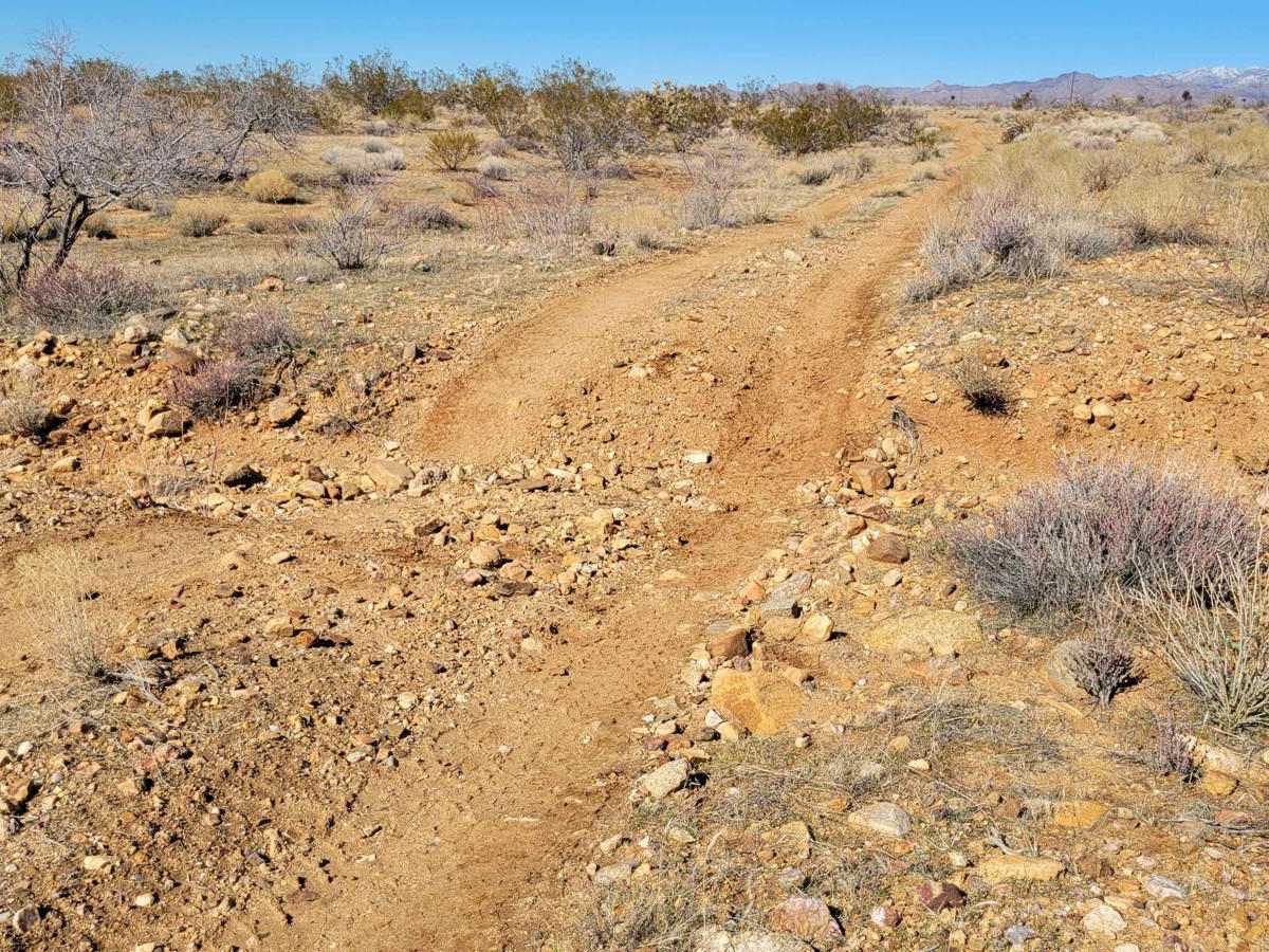 Spur Loop to Chloride AZ Peace Trail Connector (Southeast) photo 5