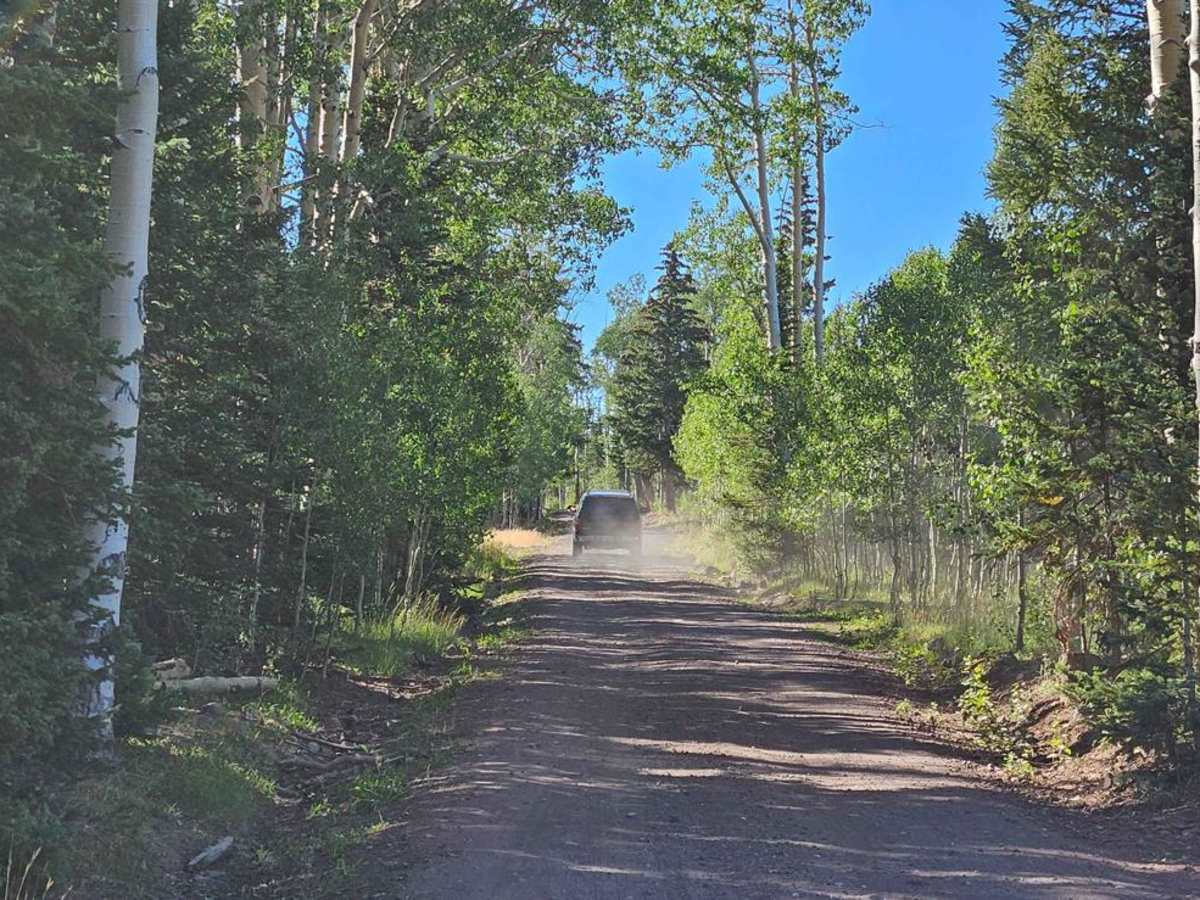 Markagunt Plateau trail photo