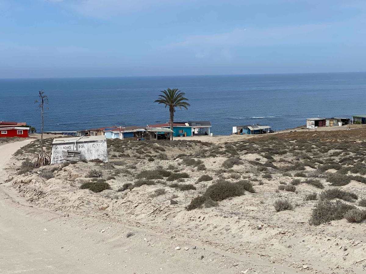 Campo Queen Coastal Route photo 6