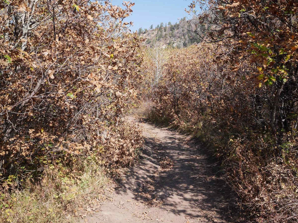Spring Creek ATV Trail (East) photo 3