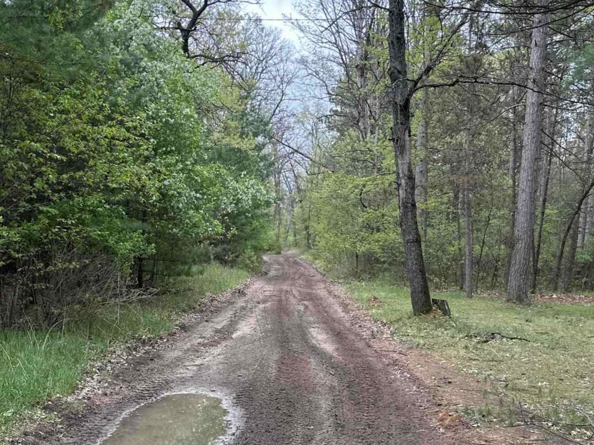 FS H109 trail photo