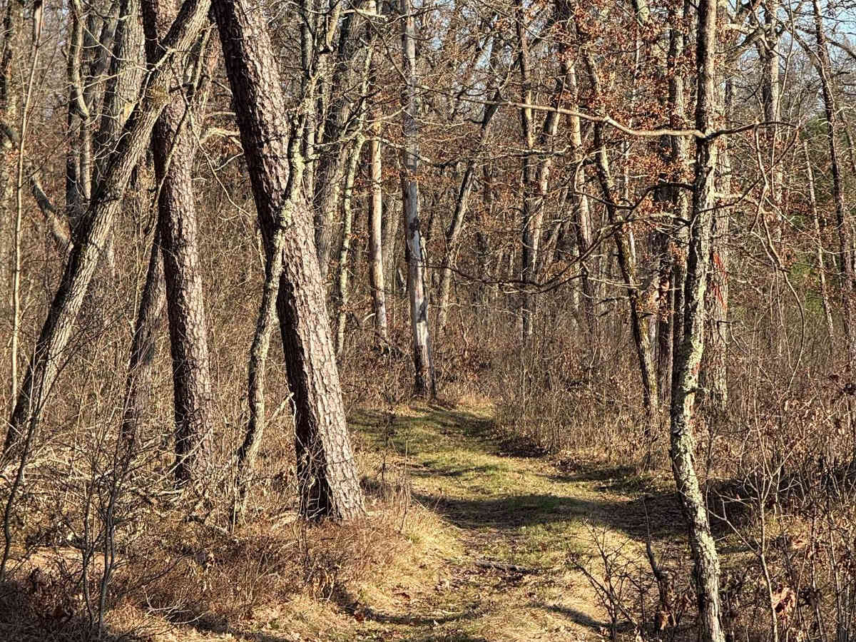 NFS 6701 trail photo