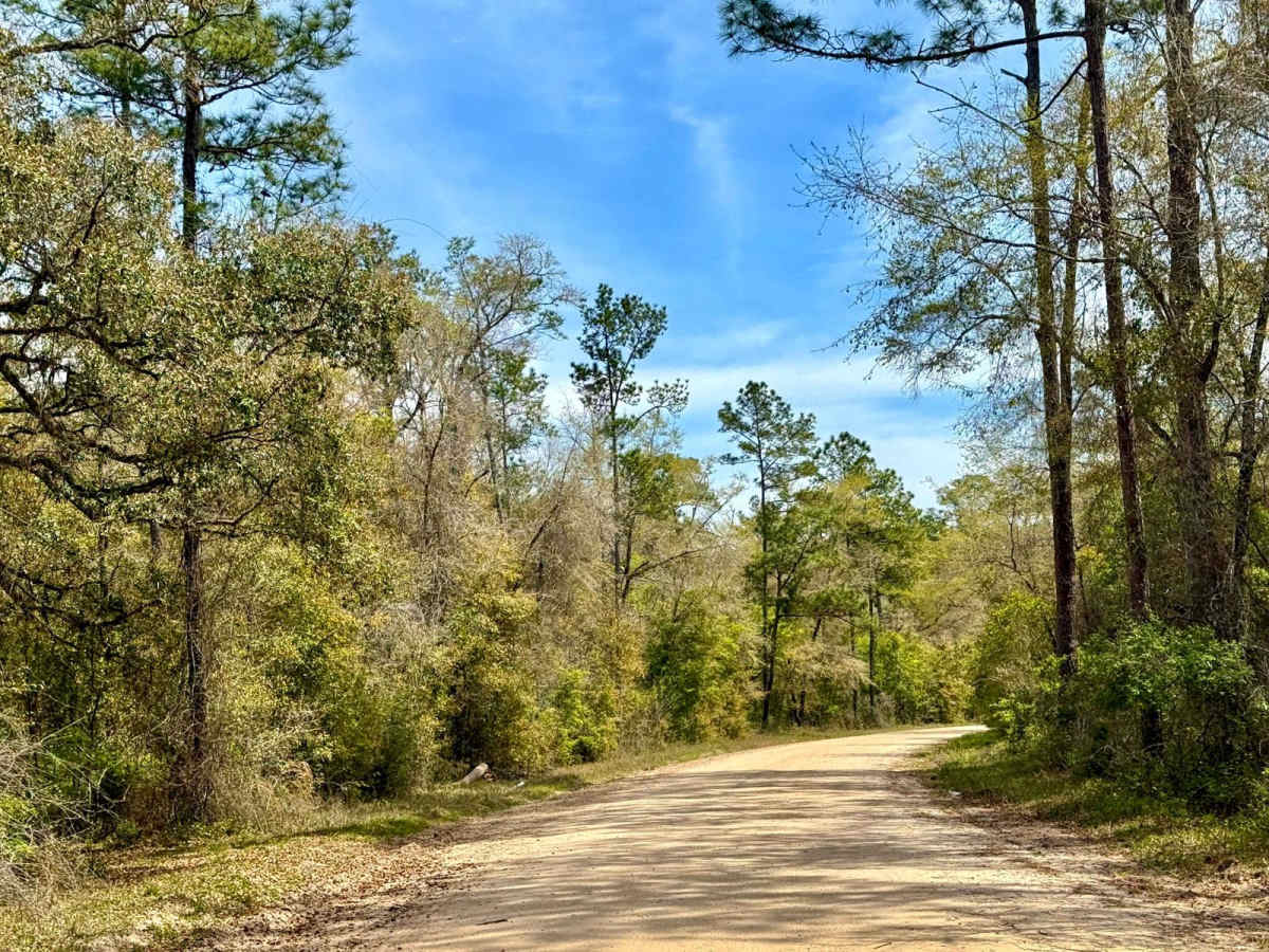 Whitehead Lake Road 186-C photo 5