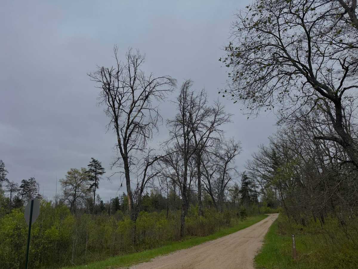 FS 8370 trail photo