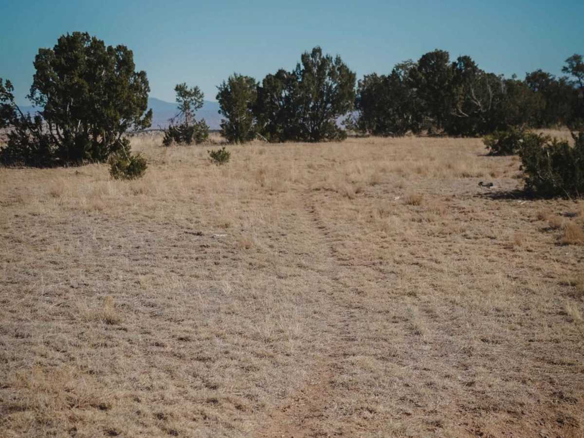 Beanfield Ridge photo 6