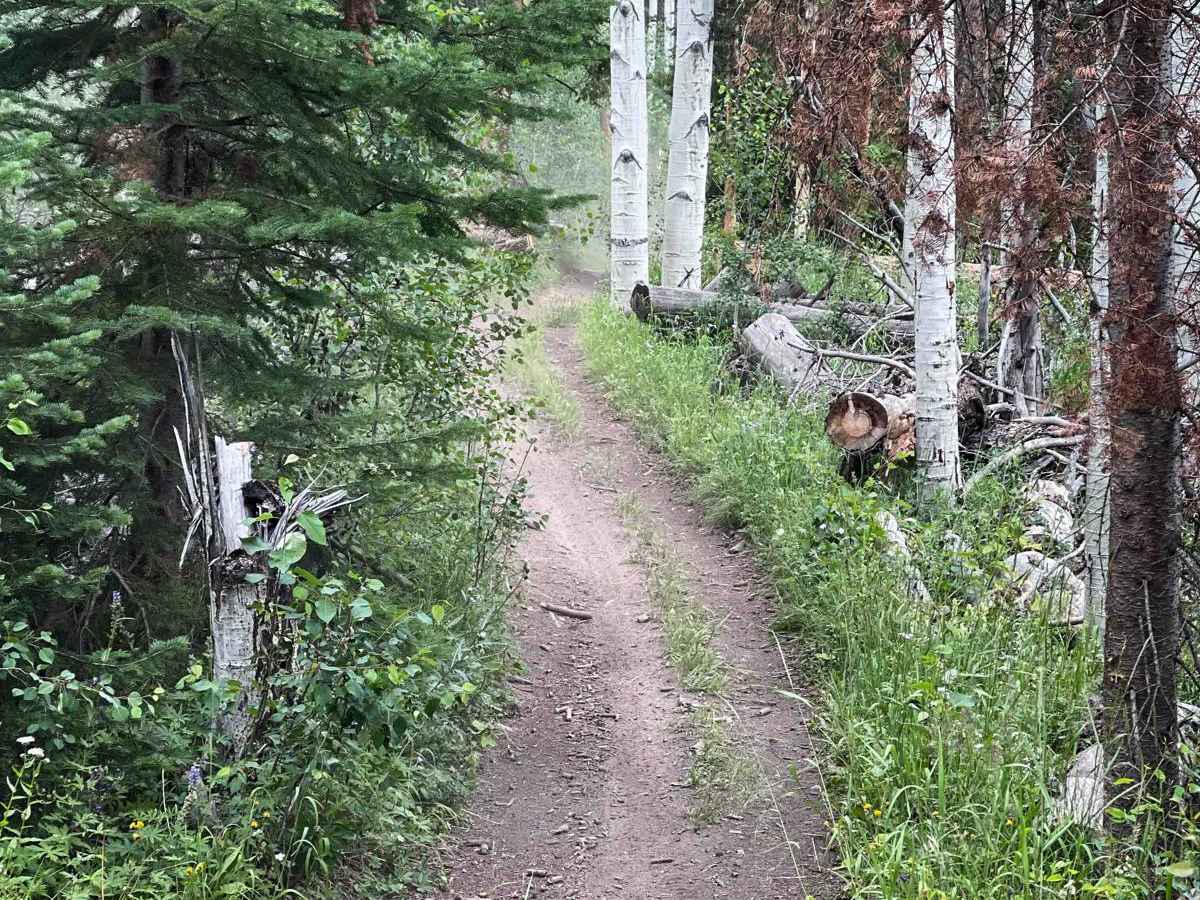 Elkhorn Trail South photo 4