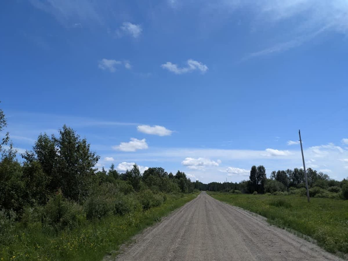 Roini Road photo 5