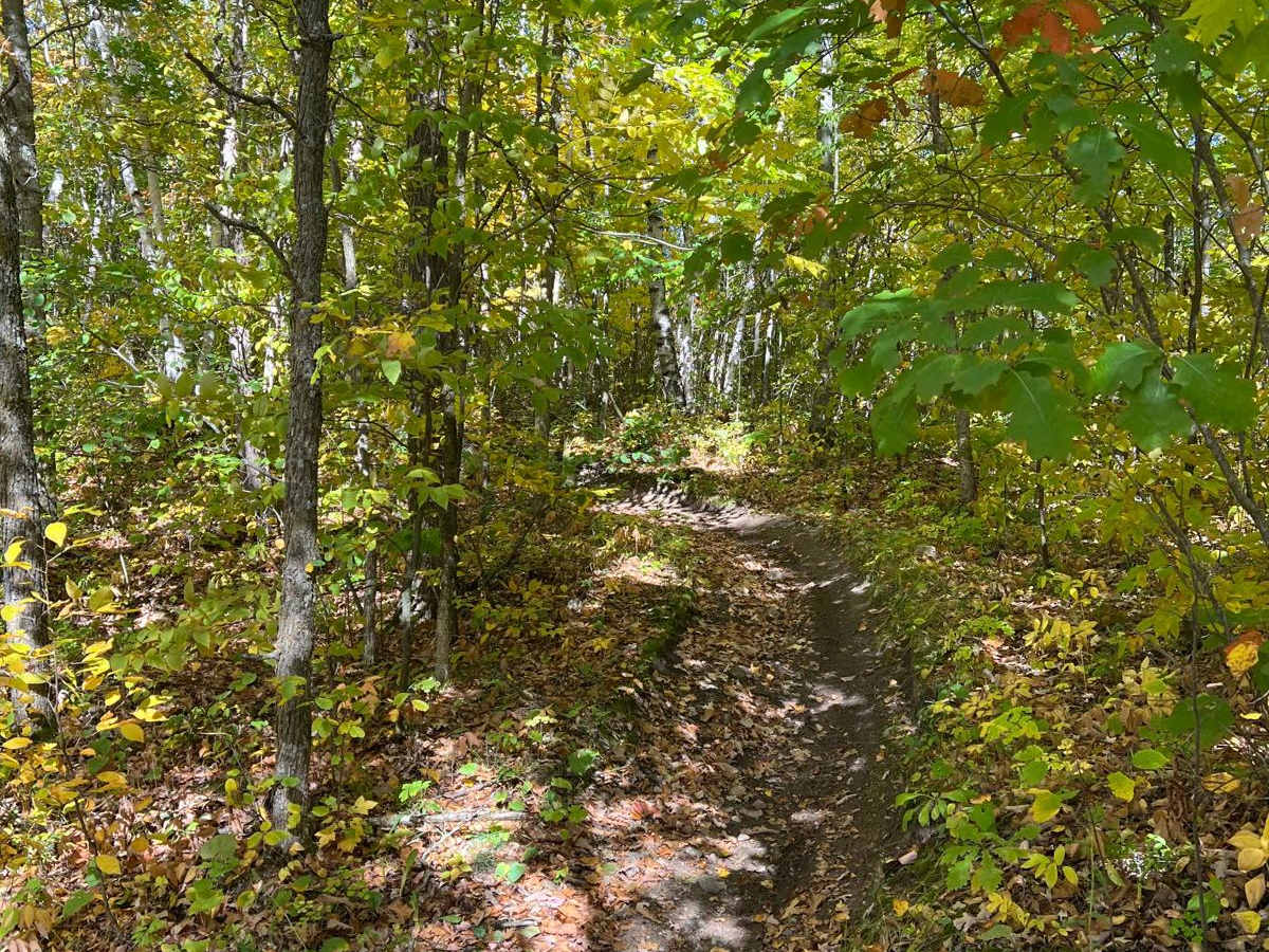 Paul Bunyan's Smooth Backwoods Cruise photo 2