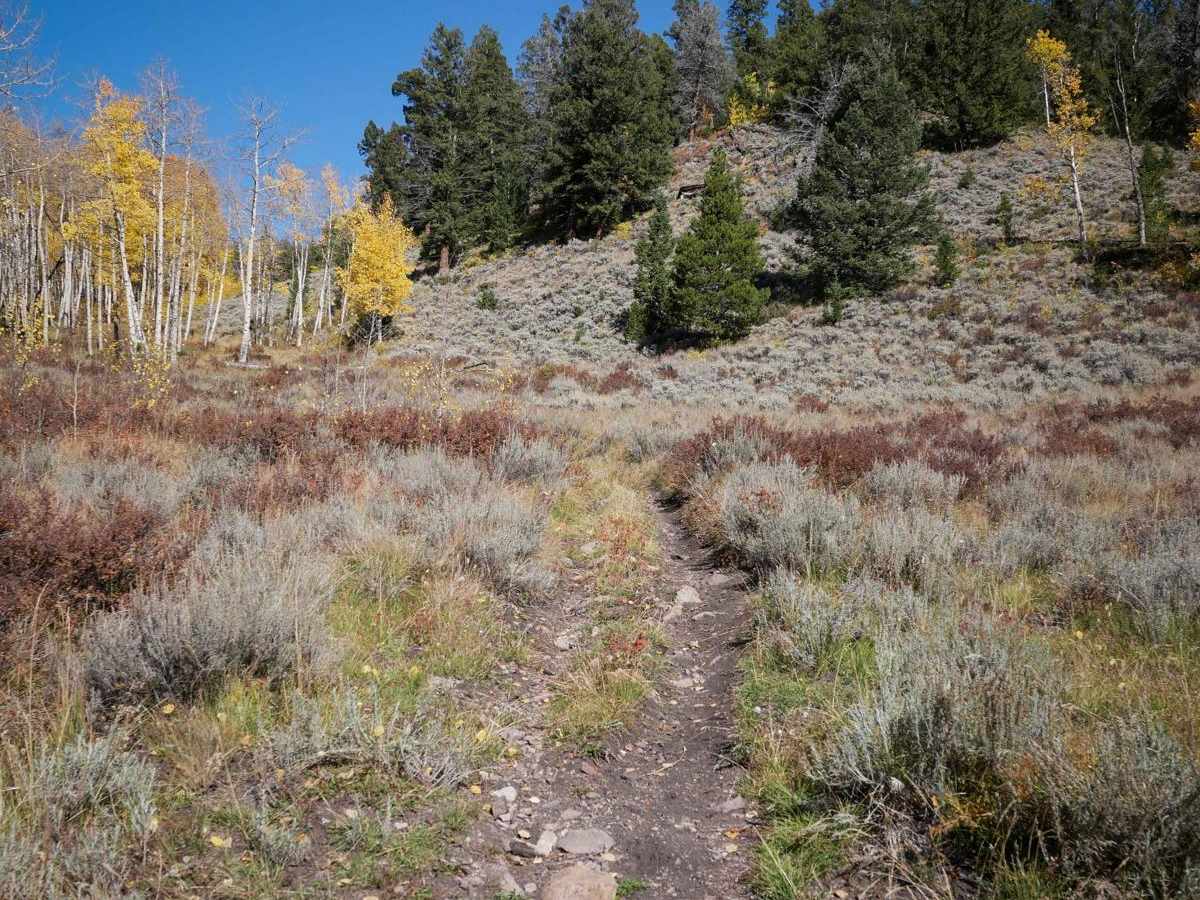 Middle Barrett ATV Trail photo 4