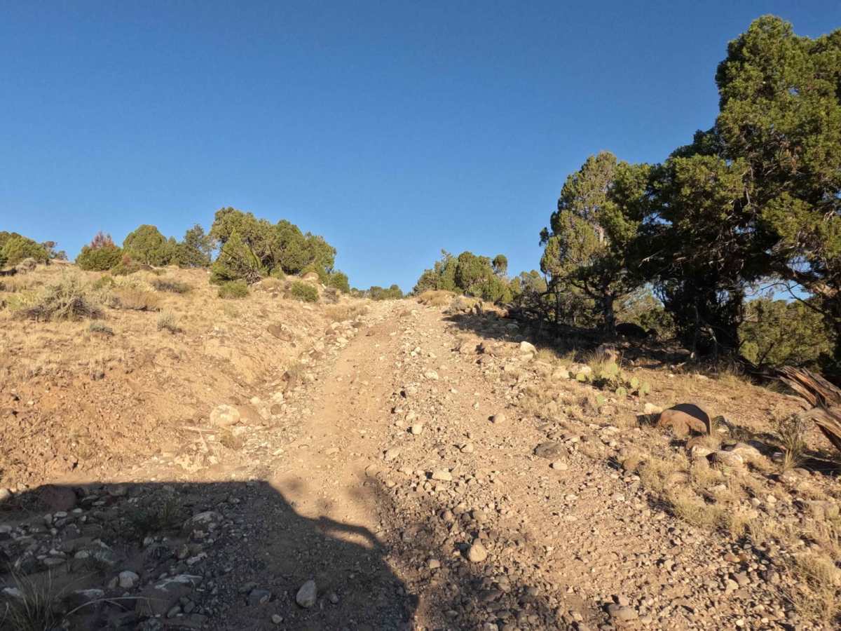 Waterline Connector - BLM10005 photo 4