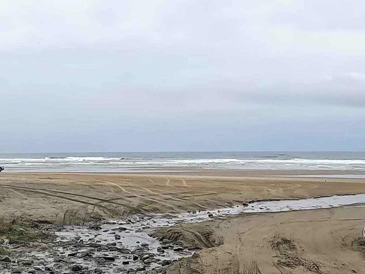 McPhillips Beach Trail photo 2