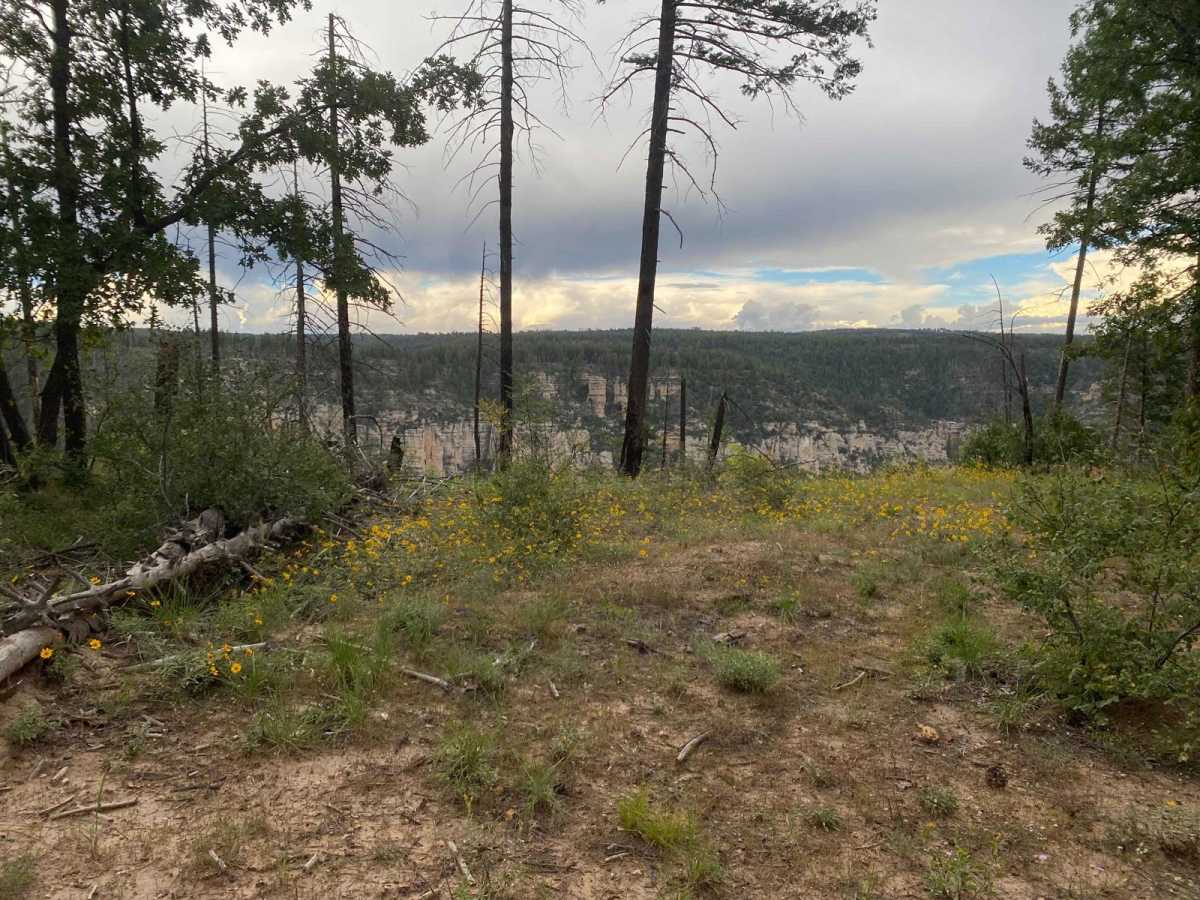 West Buzzard Ridge photo 2