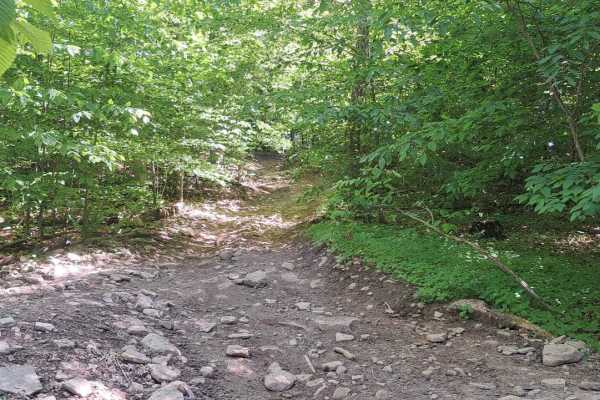 Beaver Slide