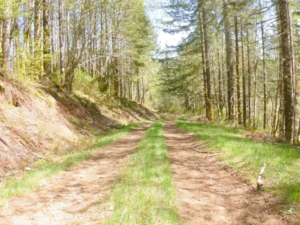 ZigZag Road - North photo 6