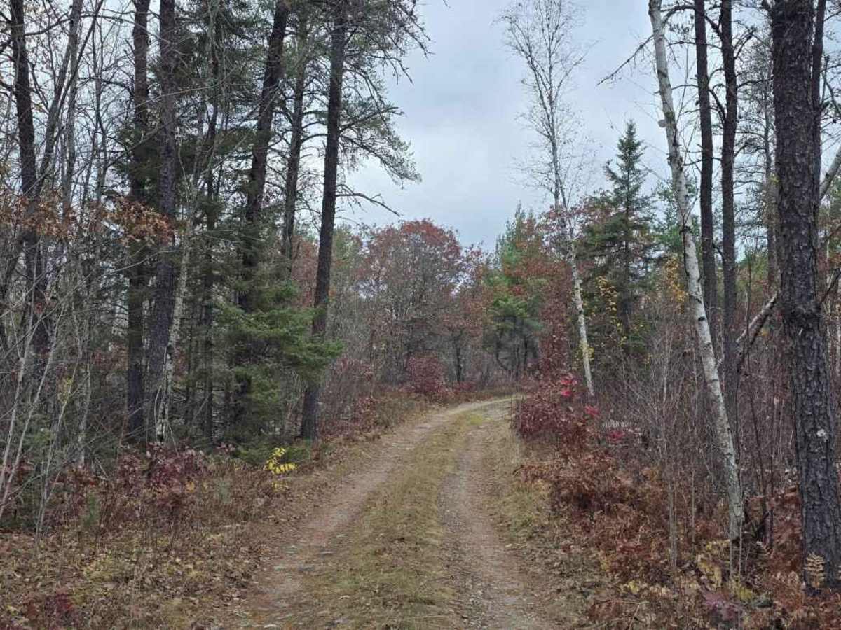 Twelve-Hundred Trail (SNF) photo 2