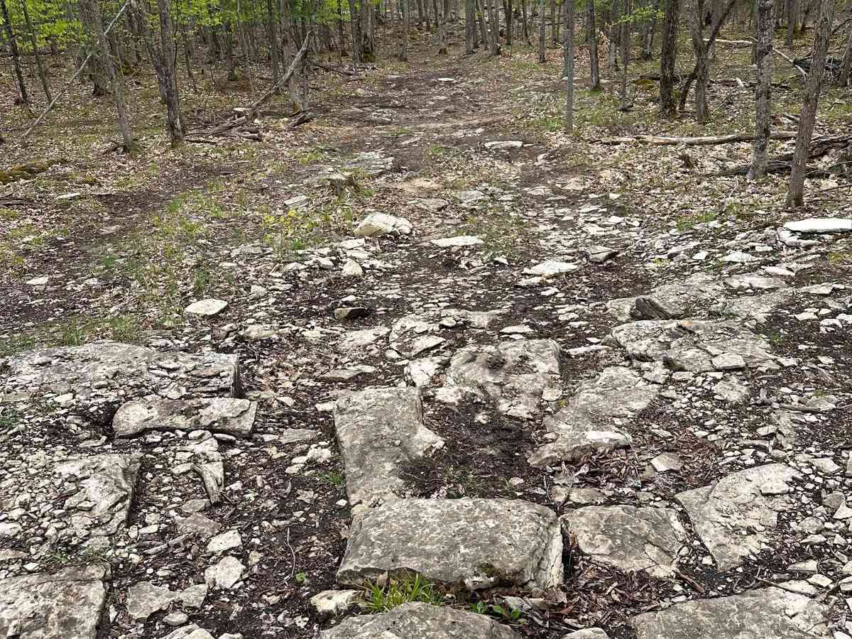 Quarry B photo 3