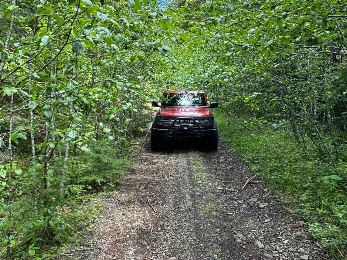 Gumboot Mountain Trail trail photo