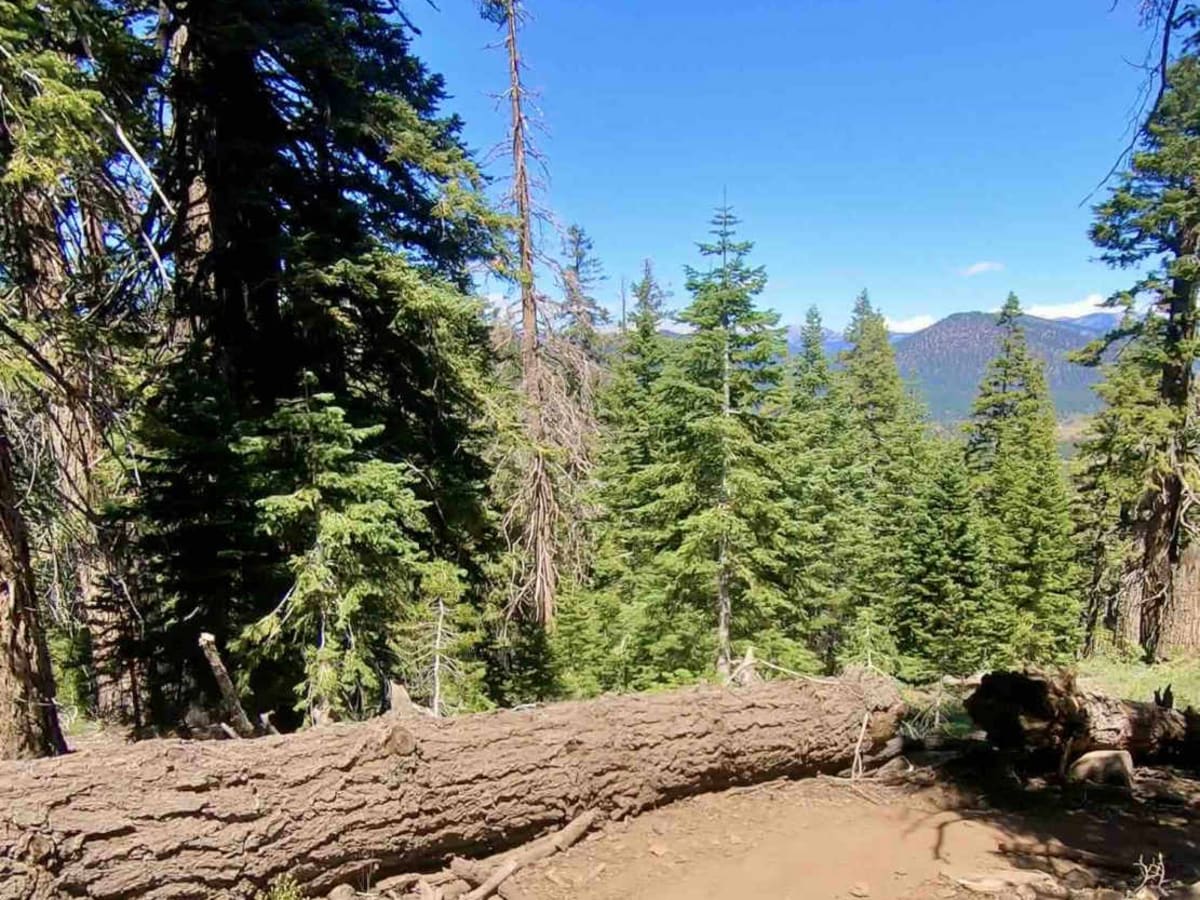 Jackass Peak photo 3