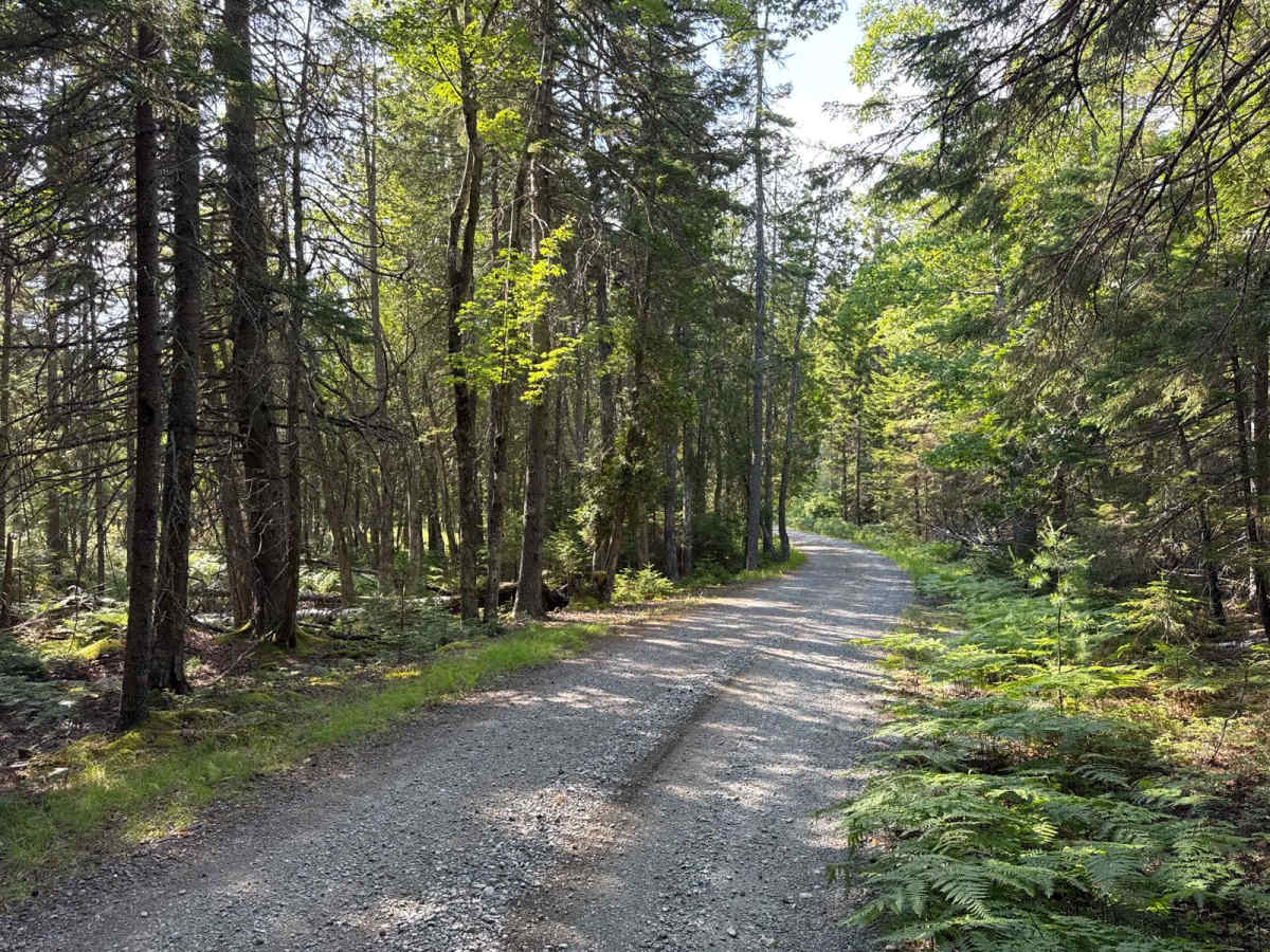 Western Mountain Road photo 5