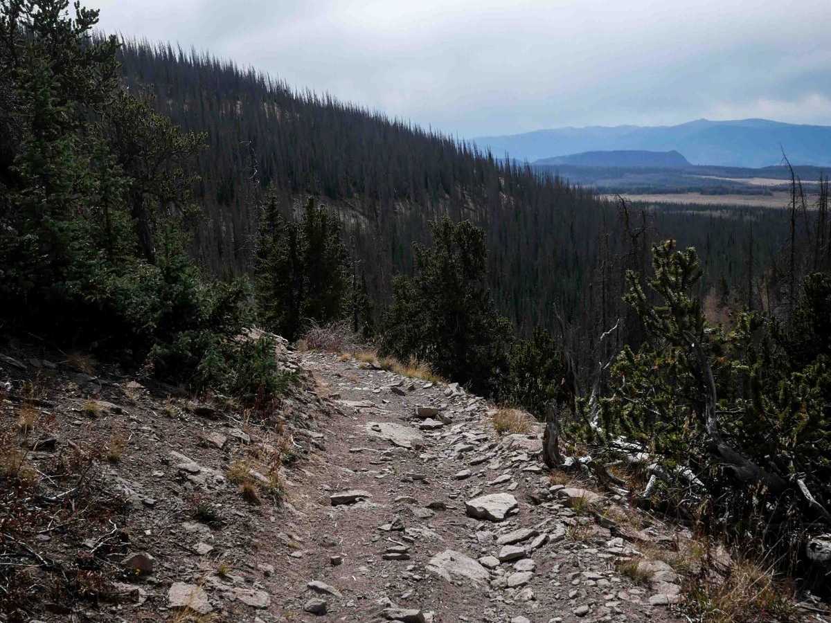West Alder ATV 798  photo 3