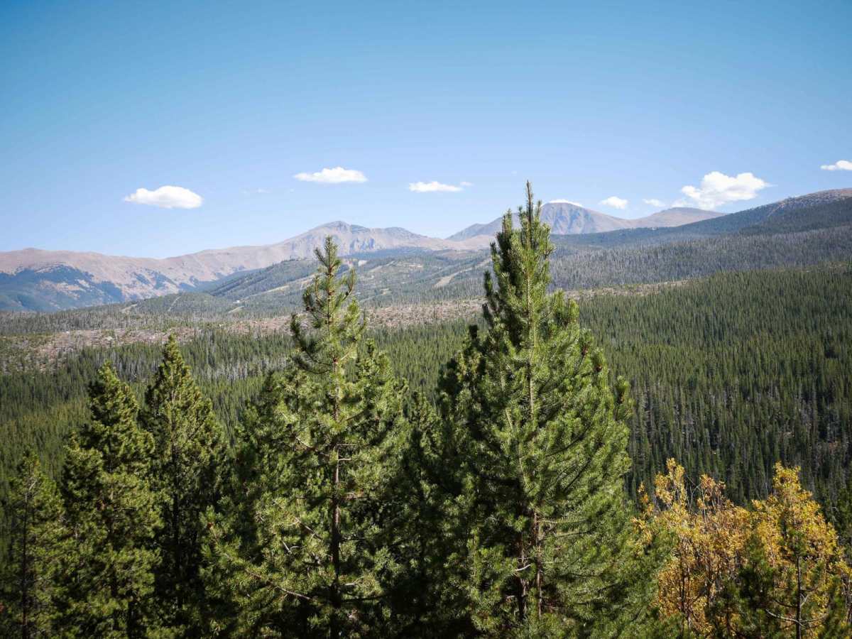Upper Elk Creek ATV trail photo