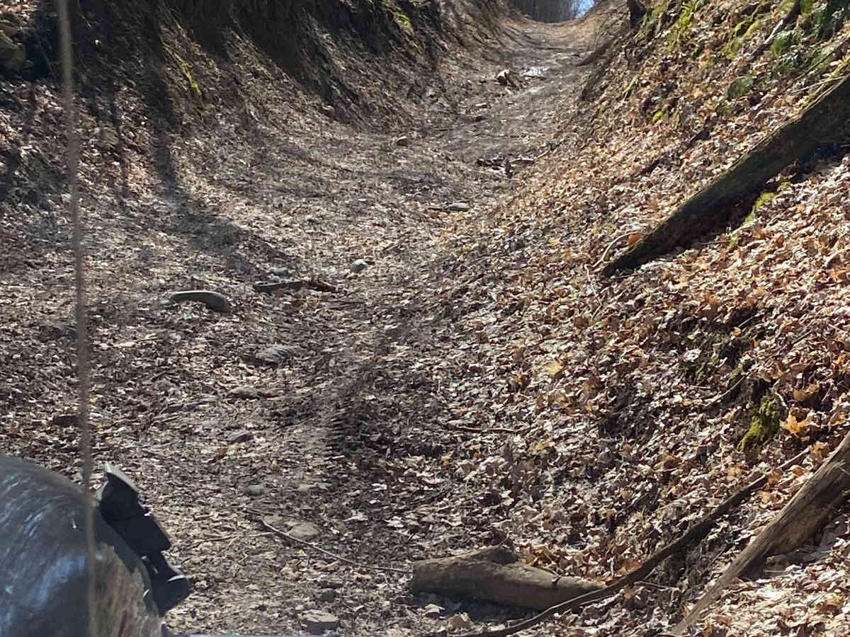 Creemore Run photo 4