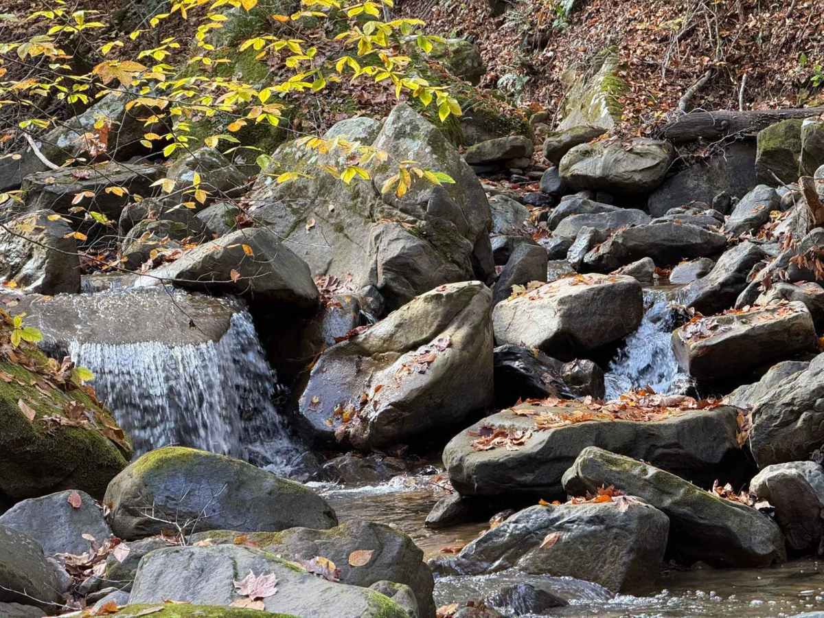 High Ridge Towers trail photo
