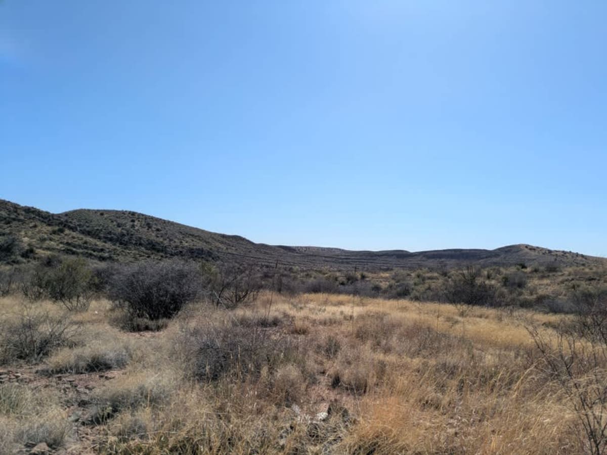 FR6911 photo 5