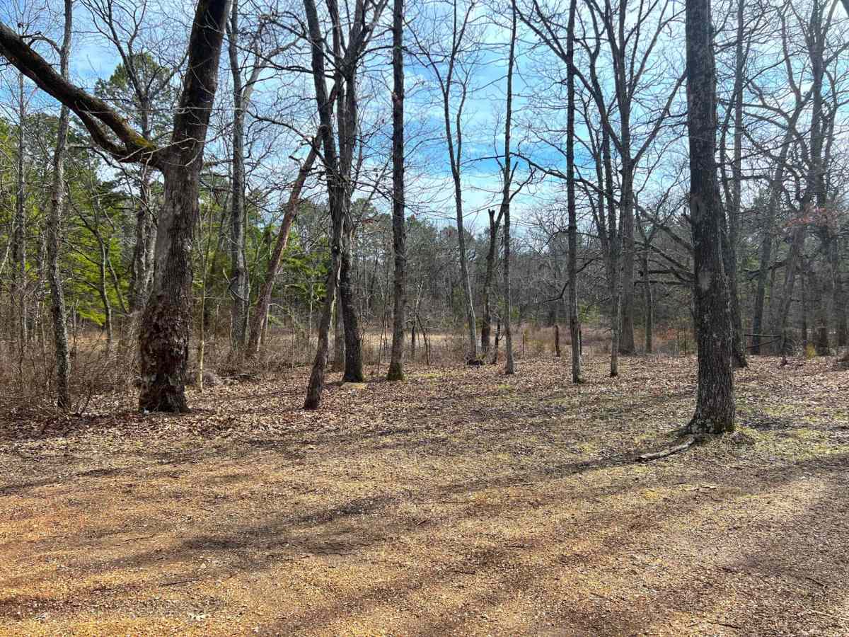 Pigeon Roost Road - WCR 603 photo 6