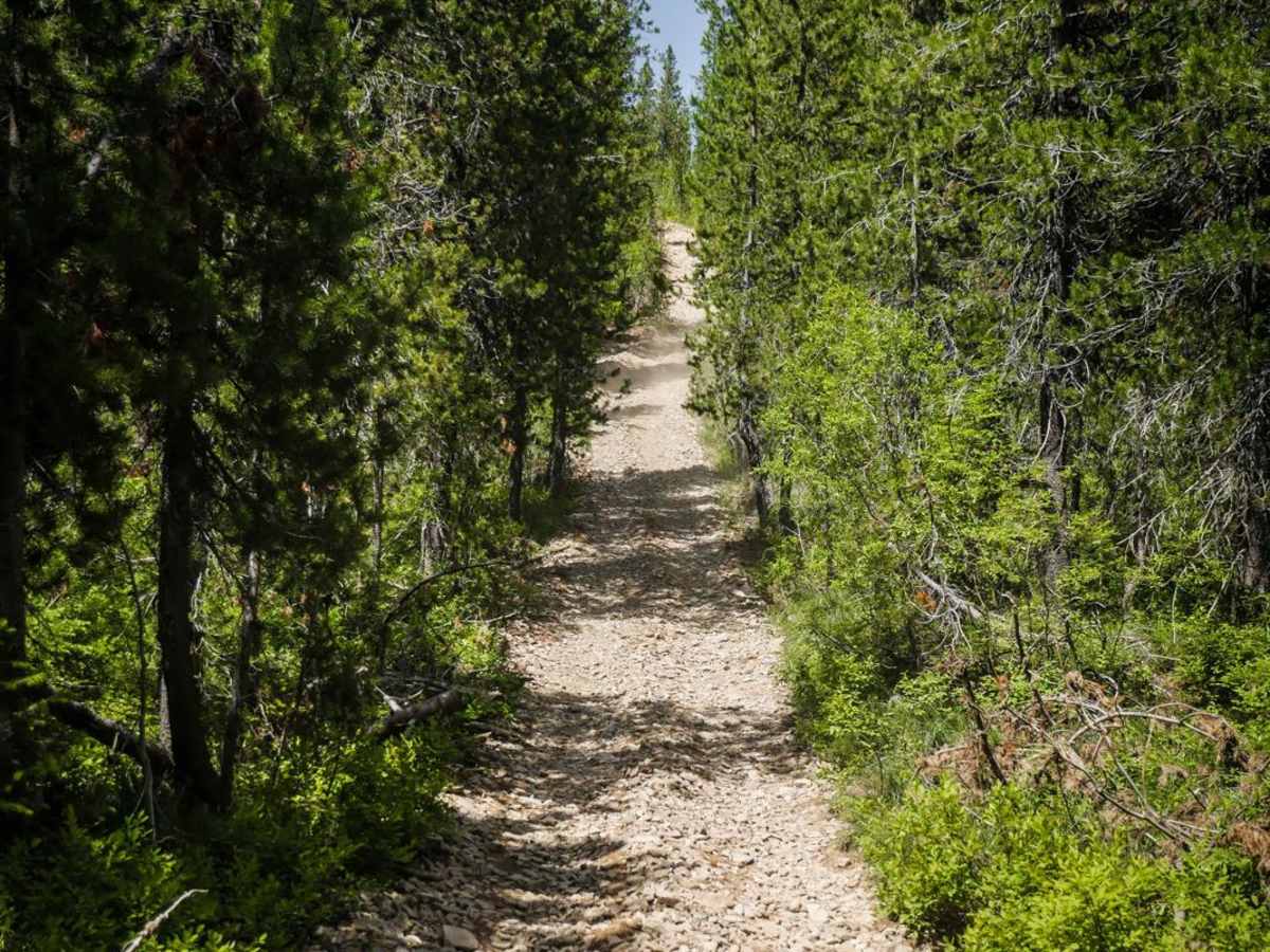 Dam Creek Divide ATV photo 6