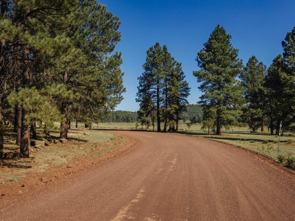 Beale Wagon Road Main photo 2