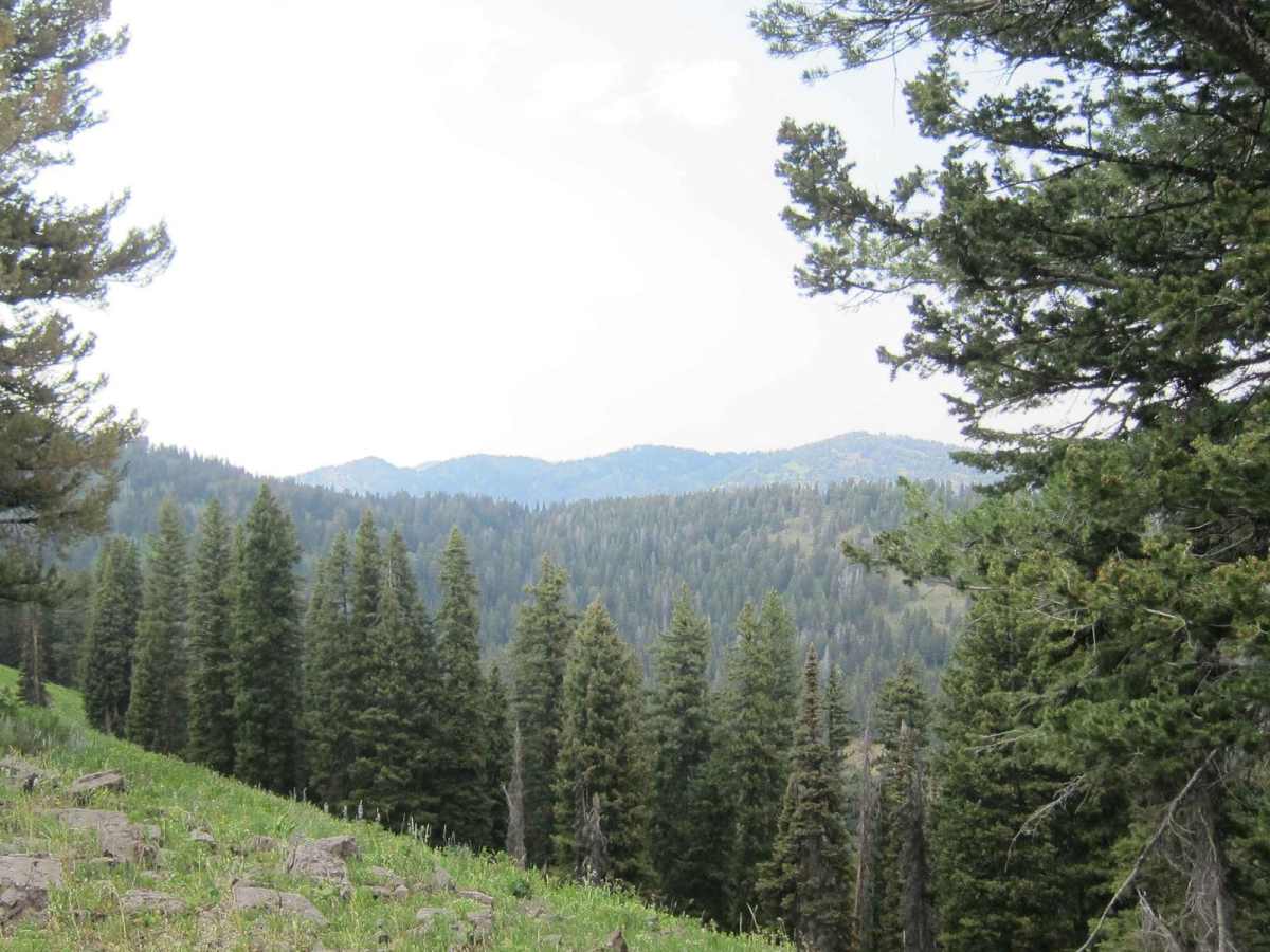 Church Hollow Trail photo 5