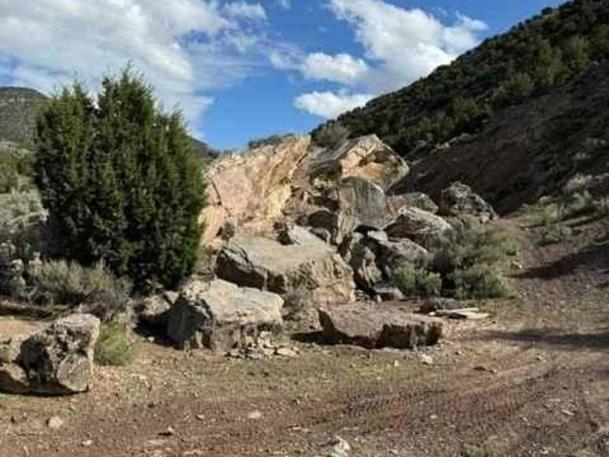 Lake Mountain Trail photo 5