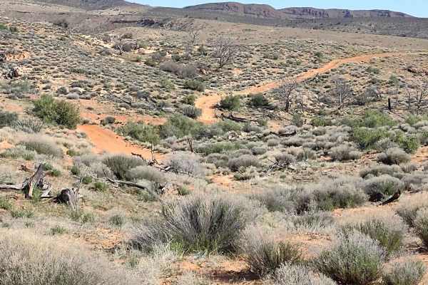 Gunlock Campground Access