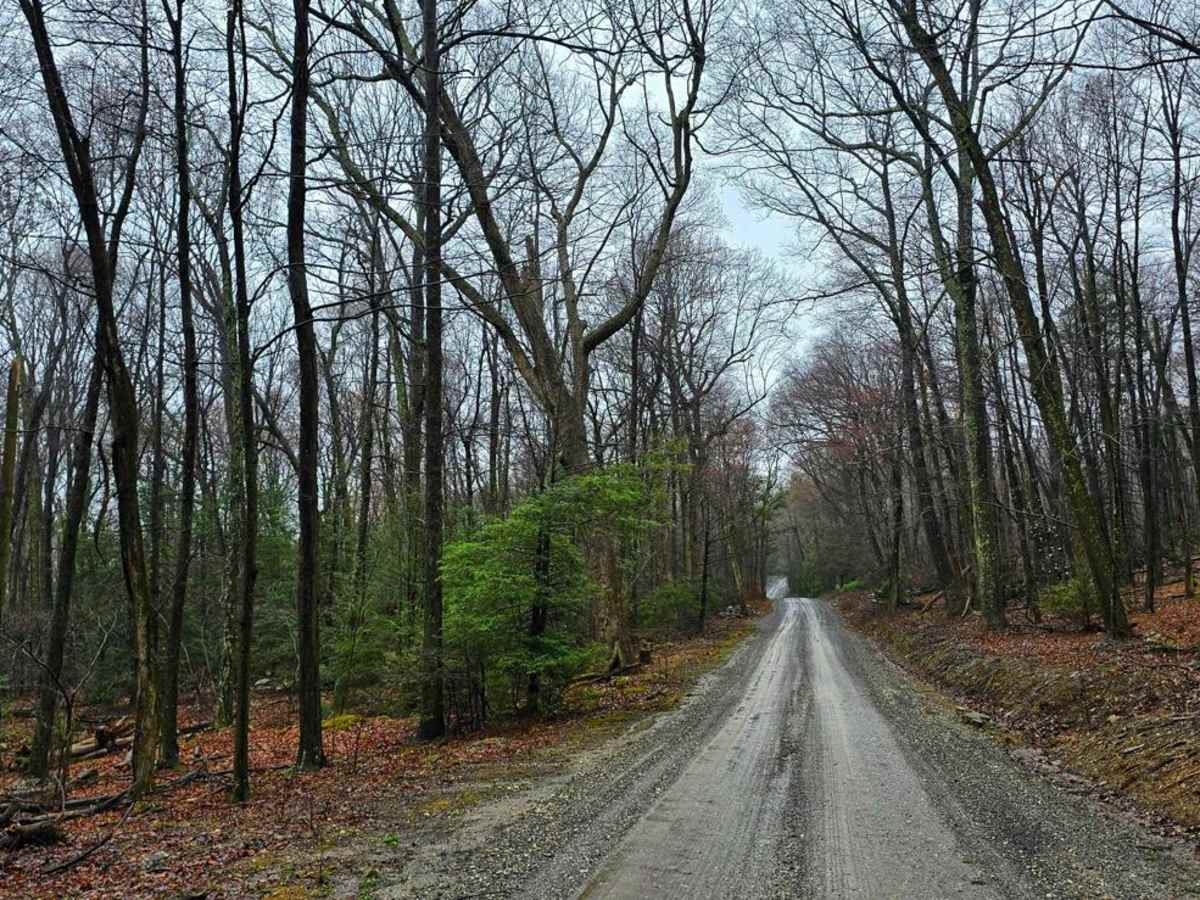 3 Square Hollow Road photo 3