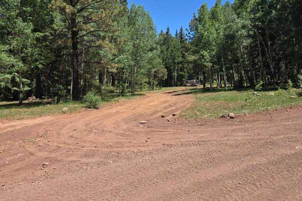 Carnero Springs Road 8556